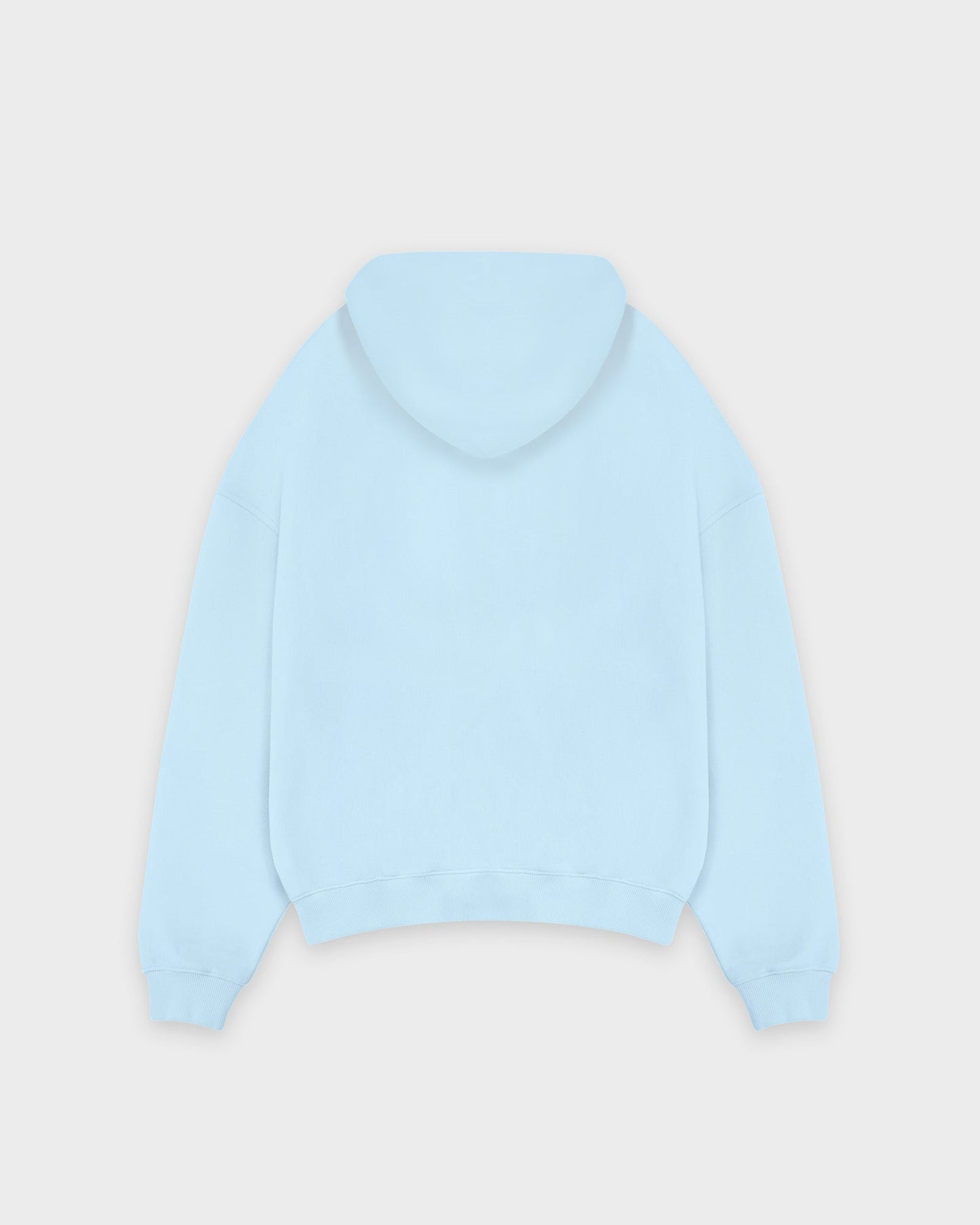 Heavy Babyblue Basic Zip Hoodie