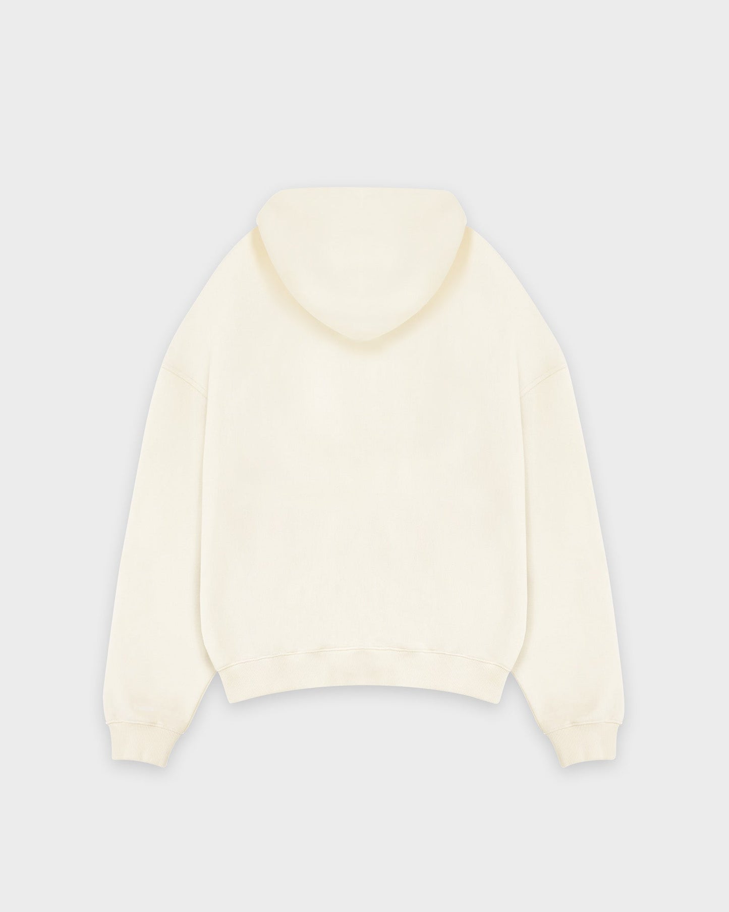 Heavy Basic Hoodie